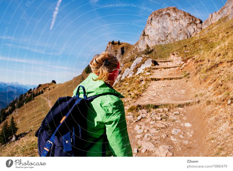 Hinauf! Hinauf! Freizeit & Hobby Abenteuer Berge u. Gebirge wandern Sport Junge Frau Jugendliche 18-30 Jahre Erwachsene Natur Landschaft Herbst Schönes Wetter