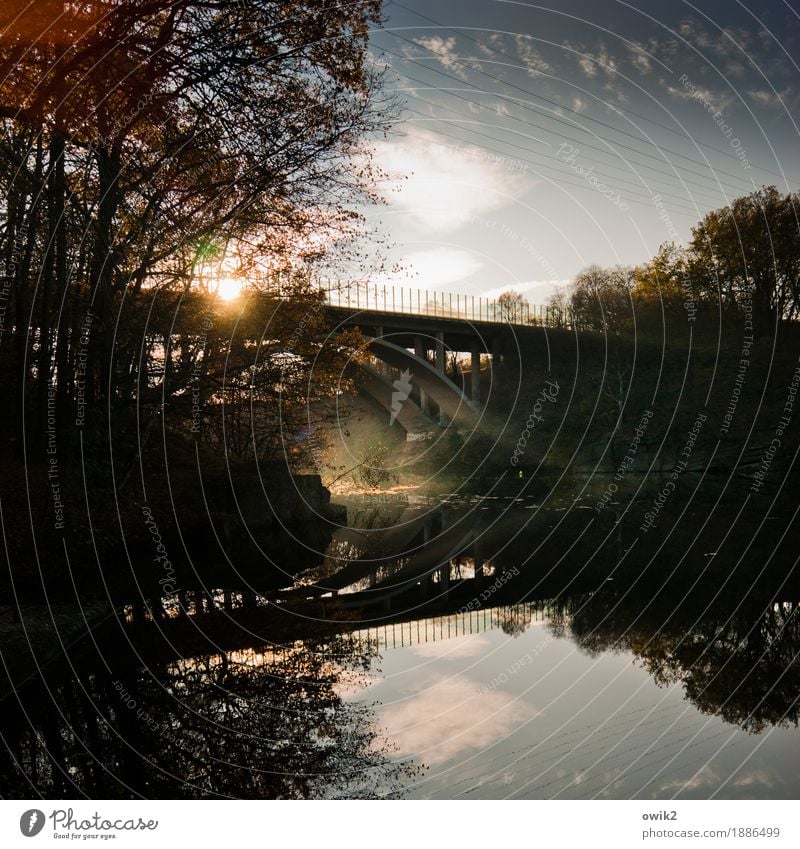 Brückentag Umwelt Natur Landschaft Pflanze Wasser Himmel Wolken Herbst Klima Schönes Wetter Baum Sträucher Bauwerk Architektur Autobahnbrücke leuchten stehen