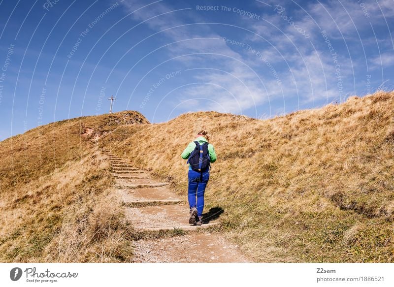 Aufwärts Abenteuer Berge u. Gebirge wandern Sport Junge Frau Jugendliche 30-45 Jahre Erwachsene Umwelt Natur Landschaft Herbst Schönes Wetter Wiese Alpen Gipfel