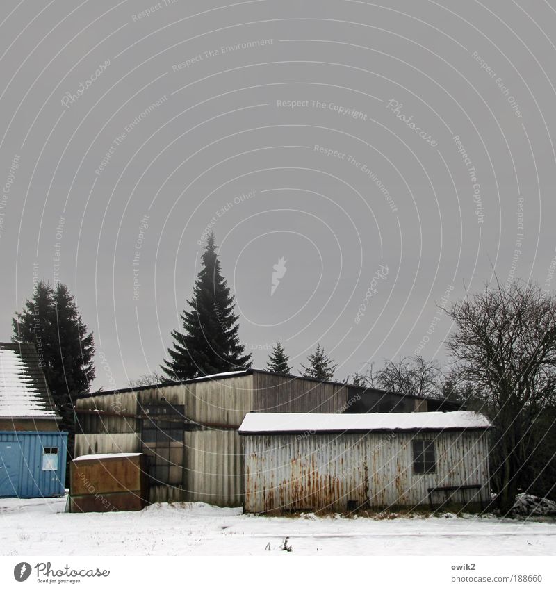 Wellblechwände Häusliches Leben Himmel Horizont Winter Klima Wetter schlechtes Wetter Nebel Eis Frost Schnee Baum Sträucher Garten Dorf Haus Hütte Bauwerk