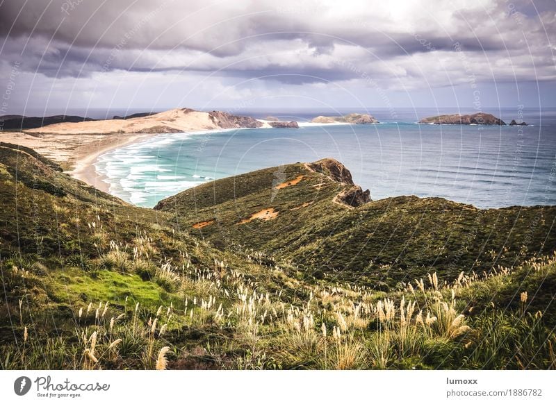 cape reinga Natur Landschaft Sand Wasser Wolken Gewitterwolken Sommer Unwetter Sträucher Wellen Strand Bucht Meer Pazifik blau gelb Neuseeland Nordinsel