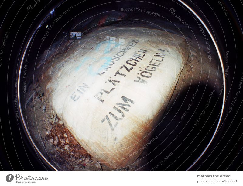 EIN LAUSCHIGES PLÄTZCHEN ZUM VÖGELN Industrieanlage Fabrik Ruine Fenster Zeichen Schriftzeichen Schilder & Markierungen Hinweisschild Warnschild Graffiti