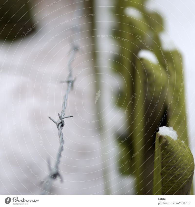 draußen bleiben. meins. Lifestyle Häusliches Leben Garten Winter Eis Frost Schnee Park Holz Metall Aggression dunkel stachelig Gefühle Vertrauen Angst