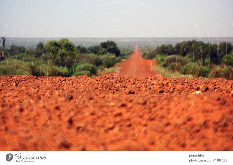 It's a bloody long way Straße Wege & Pfade Stein Sand Bewegung laufen Ferien & Urlaub & Reisen frei Unendlichkeit einzigartig natürlich positiv braun rot