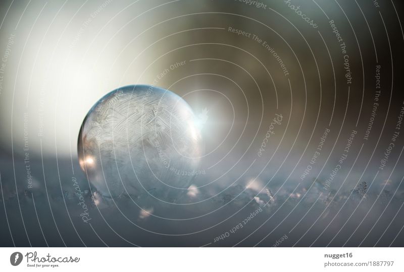 frozen Freizeit & Hobby Winter Schnee Umwelt Natur Sonnenlicht Klima Klimawandel Wetter Schönes Wetter Eis Frost Hagel Gletscher Dekoration & Verzierung