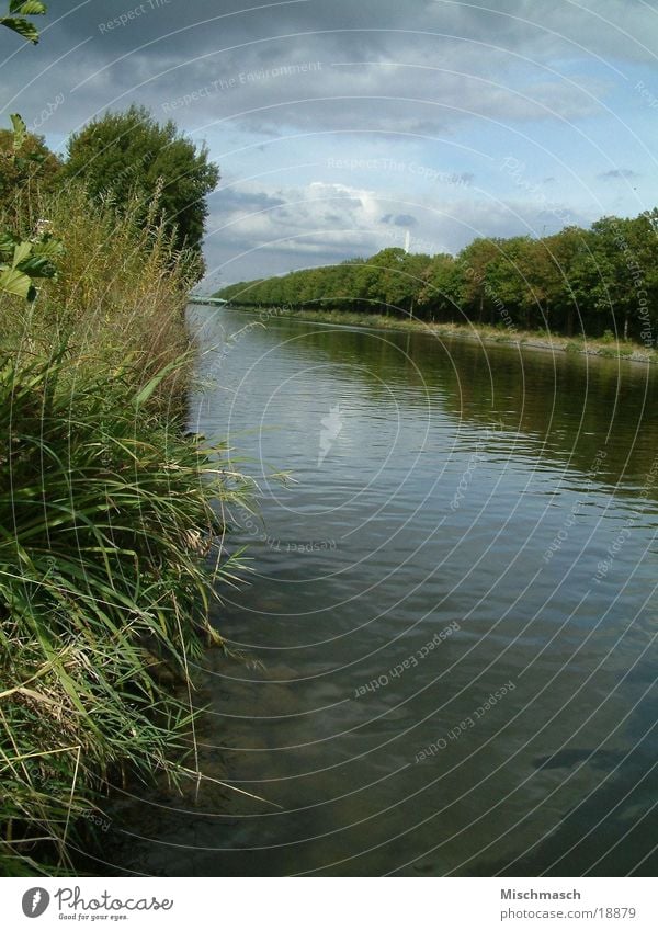 Weser Sträucher Abwasserkanal Fluss Wasser