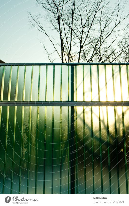 Sonnenaufgang Dezember Zaun Sichtschutz Wellen Bauzaun Grundstück Grenze Baum Klarheit durchsichtig Transparente transluzenz Sonnenlicht