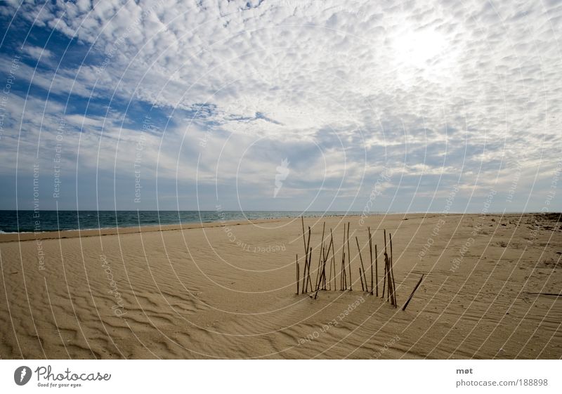 Ilha Deserta Freizeit & Hobby Ferien & Urlaub & Reisen Tourismus Ferne Freiheit Sommer Sonne Strand Meer Insel Natur Landschaft Sand Wasser Himmel Wolken