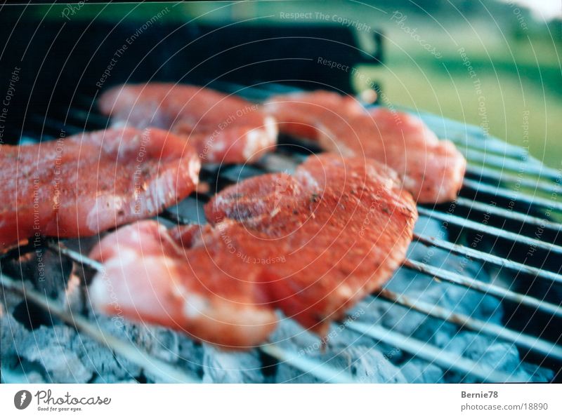 Der Grill Grillen Fleisch Ernährung Landmann-Rundgrill