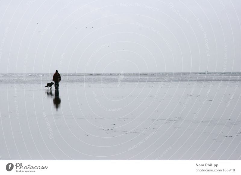 Der Hund und sein Herrchen Ferien & Urlaub & Reisen Ausflug Ferne Freiheit Strand Meer Mensch 1 Umwelt Natur Sand Wasser Himmel Klima Klimawandel Nordsee frei