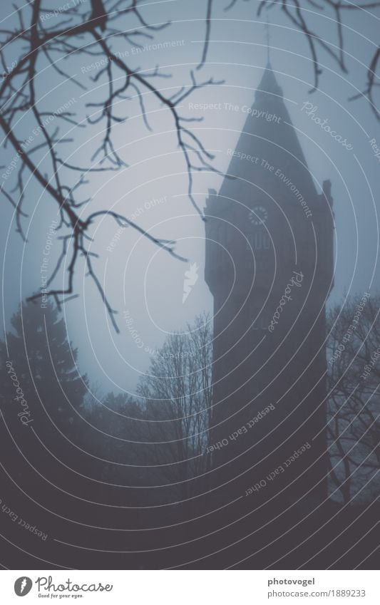 Im Nebel Baum Sträucher Turm Bauwerk Gebäude Wasserturm bedrohlich dunkel Farbfoto Gedeckte Farben Außenaufnahme Menschenleer Dämmerung Silhouette Unschärfe