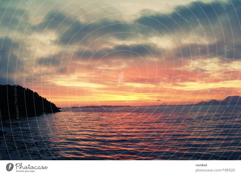 Mitternachtssonne harmonisch ruhig Ferien & Urlaub & Reisen Freiheit Meer Natur Landschaft Wasser Wolken Horizont Sonnenaufgang Sonnenuntergang Sommer Fjord