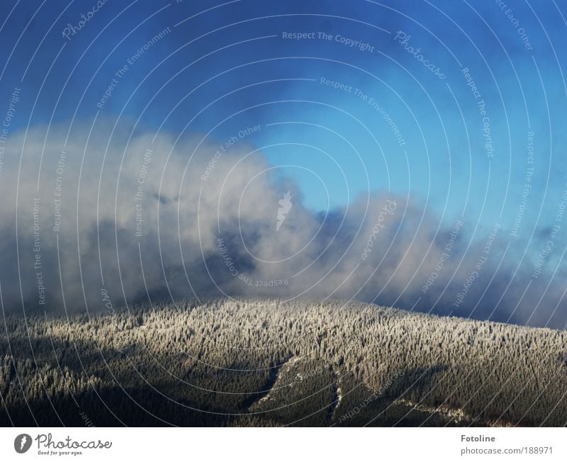 Unwetterwarnung Umwelt Natur Landschaft Pflanze Urelemente Erde Himmel Wolken Gewitterwolken Horizont Winter Klima Klimawandel Wetter Schönes Wetter