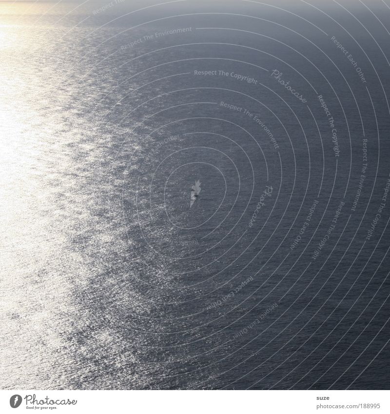 Das große Wasser Ferien & Urlaub & Reisen Ferne Freiheit Expedition Sonne Meer Natur Schönes Wetter Segelboot leuchten Einsamkeit Zeit Reisefotografie Atlantik