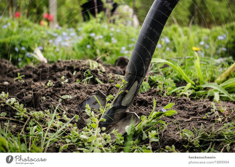 Noch ne Schippe drauf Bioprodukte Freizeit & Hobby Garten Gartenarbeit Werkzeug Schaufel Spaten Natur Erde Frühling Sommer Schönes Wetter Pflanze Blume Gras