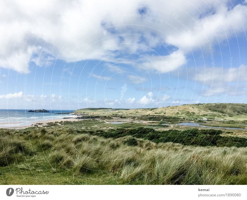 Green peace harmonisch Zufriedenheit Sinnesorgane Erholung ruhig Ferien & Urlaub & Reisen Ausflug Ferne Freiheit Strand wandern Umwelt Natur Landschaft Pflanze