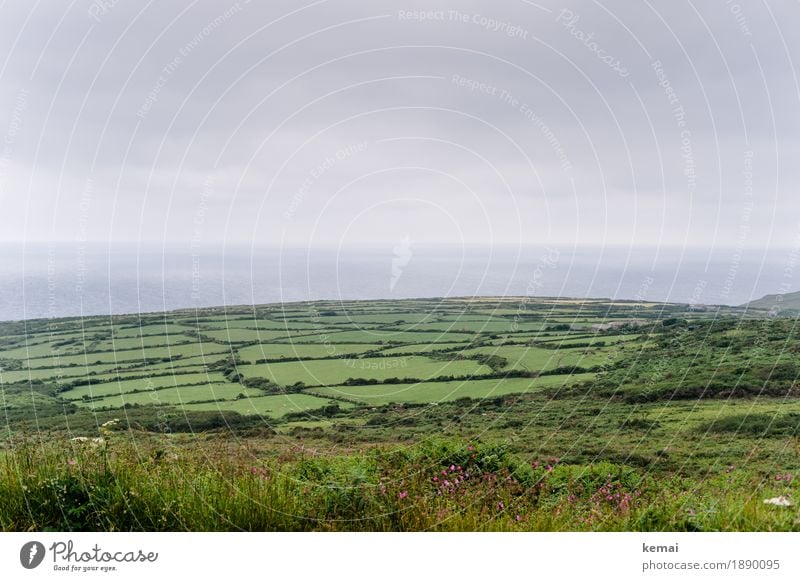 Green fields Ausflug Abenteuer Ferne Freiheit Umwelt Natur Landschaft Pflanze Wasser Himmel Wolken Sommer schlechtes Wetter Sträucher Feld Meer Cornwall