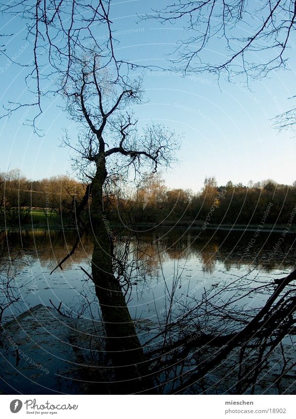 Seeblick Meer Wald Teich Herbst kalt Wasser herbstklopfen