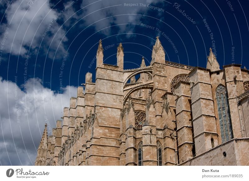 Catedral Collossal Catedral de Palma de Mallorca Spanien Kirche Dom Bauwerk Gebäude Architektur Sehenswürdigkeit Wahrzeichen Denkmal anstrengen geheimnisvoll