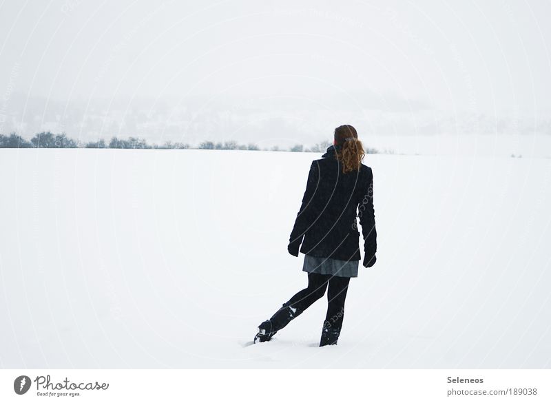 looking for daysies Winter Schnee Winterurlaub Mensch Junge Frau Jugendliche 1 Umwelt Natur Landschaft Himmel Klima Eis Frost Feld frieren Unendlichkeit kalt