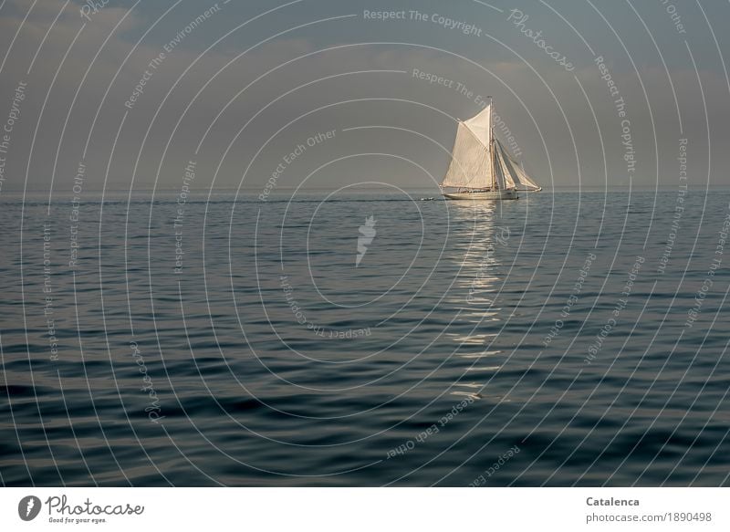 Stillstand, Segelboot am Horizont bei windstillem Wetter Ferien & Urlaub & Reisen Freiheit Sommer Sommerurlaub Segeln Schönes Wetter Nordsee Jacht glänzend