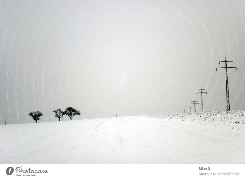 Spuren im Schnee Winter Winterurlaub wandern schlechtes Wetter Eis Frost Unendlichkeit hell kalt Strommast Baum Feld Einsamkeit Schwarzweißfoto Außenaufnahme