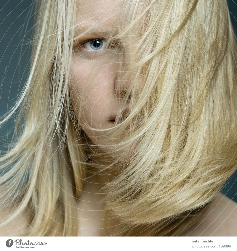 hair feminin Junge Frau Jugendliche Haare & Frisuren Auge Nase blond langhaarig schön weich Entschlossenheit Blick fliegen Bewegung Haarsträhne zerzaust wild