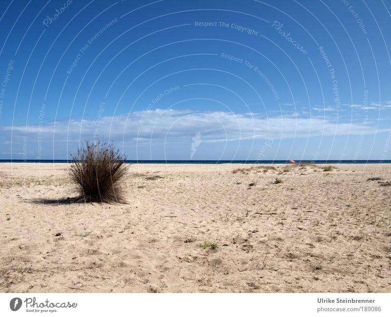 Leerer Strand vor Meereslinie mit kleinem, einsamen Sonnenschirm Erholung ruhig Ferien & Urlaub & Reisen Sonnenbad Insel Landschaft Pflanze Sand Luft Wasser