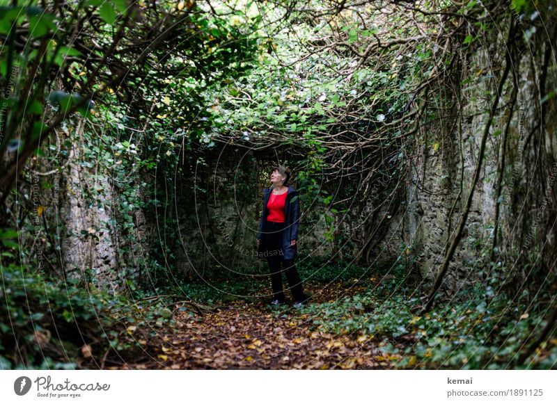 Lady in Red Lifestyle Wohlgefühl Erholung ruhig Meditation Freizeit & Hobby Abenteuer Mensch feminin Weiblicher Senior Frau Leben 1 60 und älter Natur Pflanze