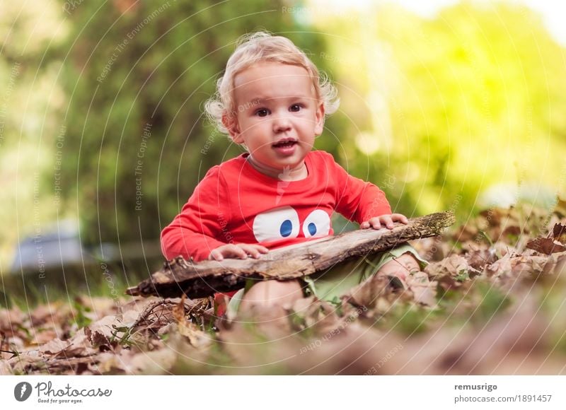 Kind spielt in den Blättern Freude Glück Freizeit & Hobby Spielen Mensch Baby Kleinkind Junge Kindheit Natur Herbst Blatt Park Fröhlichkeit klein niedlich