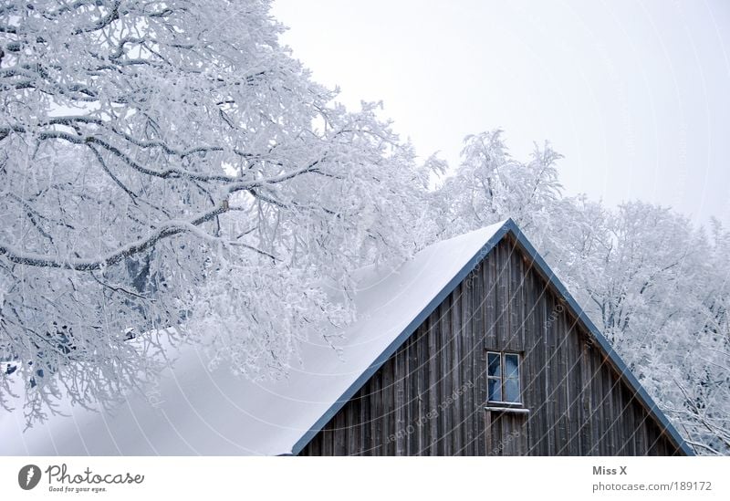 Hütte Ferien & Urlaub & Reisen Ausflug Winter Schnee Winterurlaub Berge u. Gebirge Natur Klima Eis Frost Baum Garten Park Wald Haus alt kalt weiß Raureif