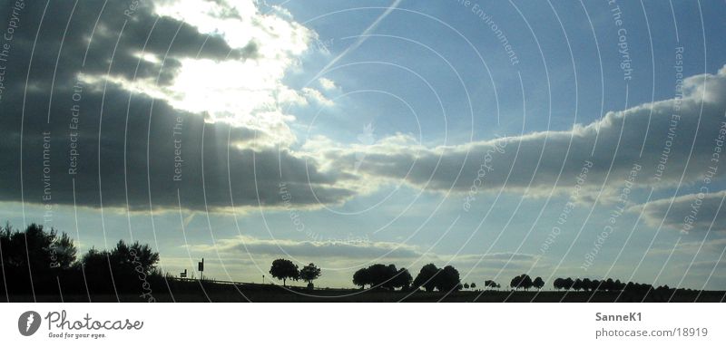 Dämmerung 2 Baum Wolken Panorama (Aussicht) Himmel groß Panorama (Bildformat)