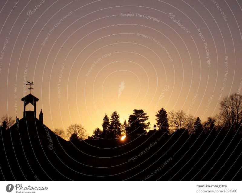 morgendliche Dorfidylle Freiheit Natur Landschaft Luft Himmel Wolkenloser Himmel Sonnenaufgang Sonnenuntergang Schönes Wetter Baum Hügel Menschenleer Haus