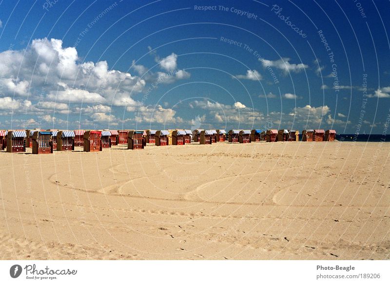 Bereit für den Ansturm II See Meer Strand Sand Strandkorb faulenzen Erholung Ferien & Urlaub & Reisen Ostsee Travemünde Möwe Wellen