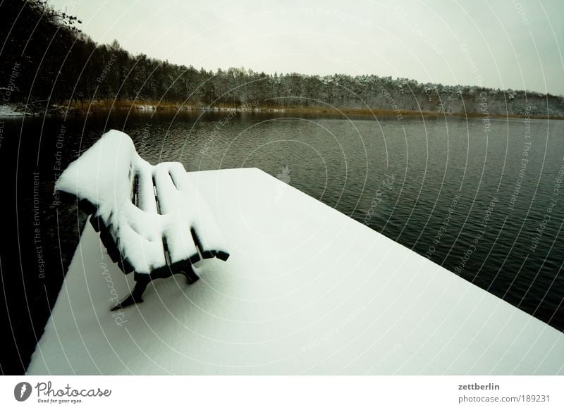 Schnee am See Dezember Schneedecke Neuschnee Bank leer ausdruckslos Menschenleer frei ruhig Wasser Wasseroberfläche Küste Seeufer Wald Steg Anlegestelle trüb