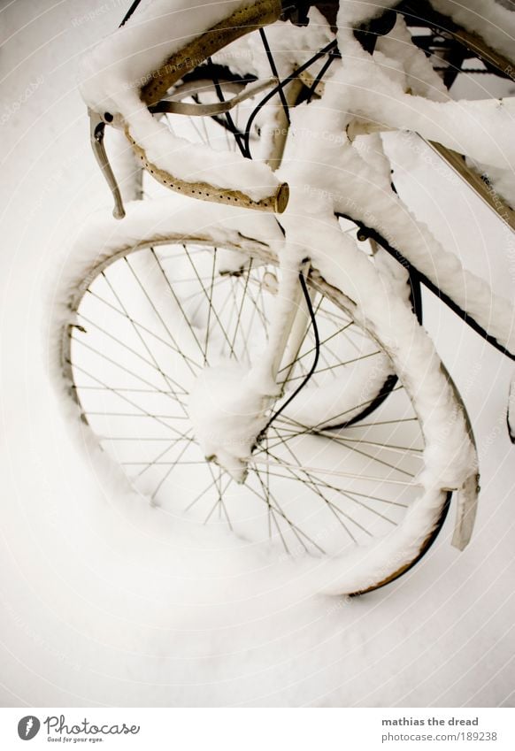 SCHNEERAD Umwelt Natur Landschaft Winter Eis Frost Schnee Verkehrsmittel Straße ästhetisch Zufriedenheit Einsamkeit Endzeitstimmung Freiheit Idylle einzigartig