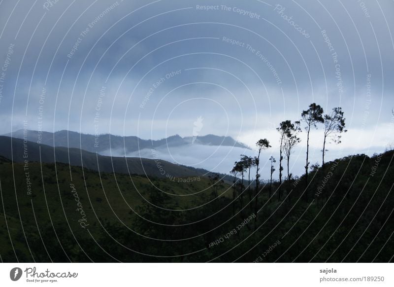 verhangener morgen Umwelt Natur Landschaft Pflanze Himmel Wolken schlechtes Wetter Baum bromo Indonesien Java Asien Südostasien dunkel trist blau grau