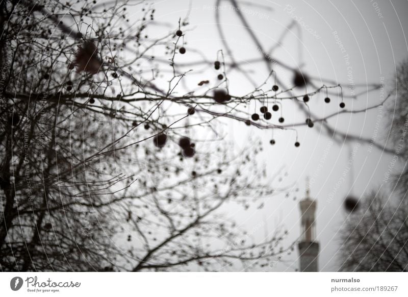 Dödeldirum Kunst Umwelt Natur Pflanze Winter schlechtes Wetter Baum Ast Park Burg oder Schloss Sehenswürdigkeit Wahrzeichen hängen Blick ästhetisch authentisch