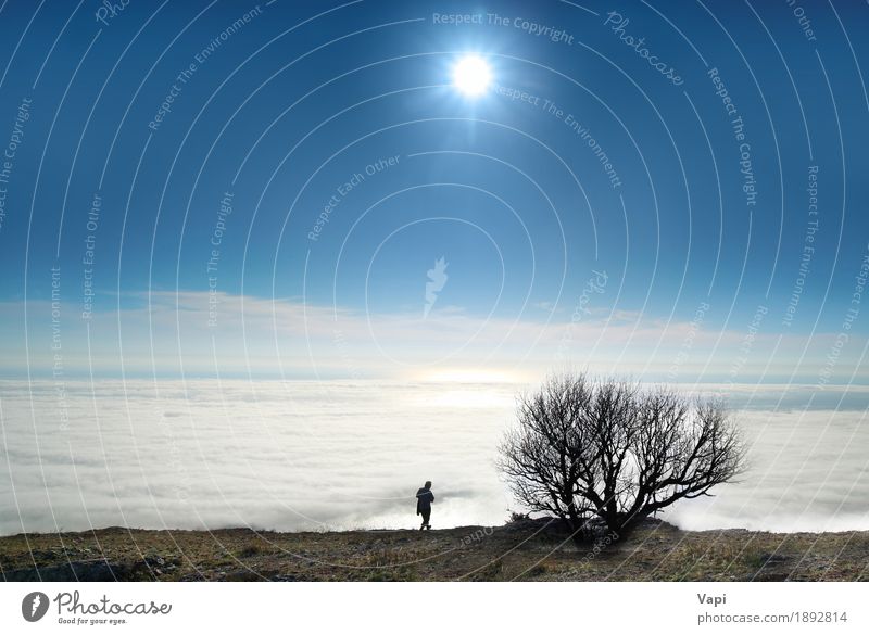 Einsamer Baum mit Wolken Erholung Ferien & Urlaub & Reisen Tourismus Ausflug Abenteuer Sonne Meer Junger Mann Jugendliche Erwachsene 1 Mensch Umwelt Natur