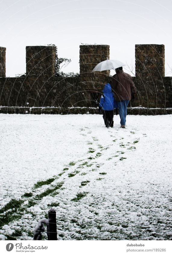 Schnee maskulin Mann Erwachsene Eltern Rücken 2 Mensch Wolken Winter schlechtes Wetter Nebel Park Balkon Terrasse Denkmal beobachten frieren genießen Blick