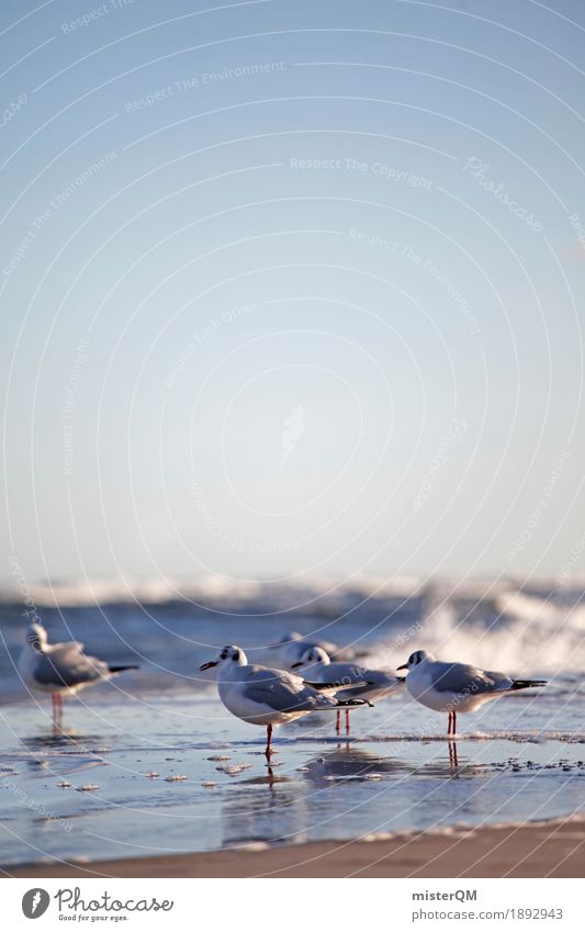 Gaffer I Kunst ästhetisch Möwe Möwenvögel Möwendreck Ostsee Ostseeinsel Prerow Meer Küste Uferpromenade Vogel Farbfoto mehrfarbig Außenaufnahme Experiment