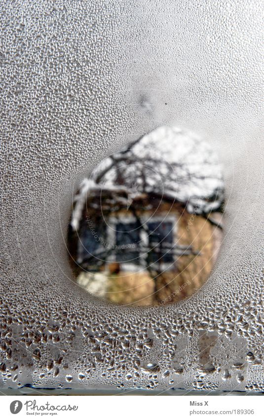 Durchblick, Ausblick ,Lichtblick ... auf die nächsten 600 Häusliches Leben Renovieren Umwelt Wasser Wassertropfen Herbst Winter Klima Wetter schlechtes Wetter