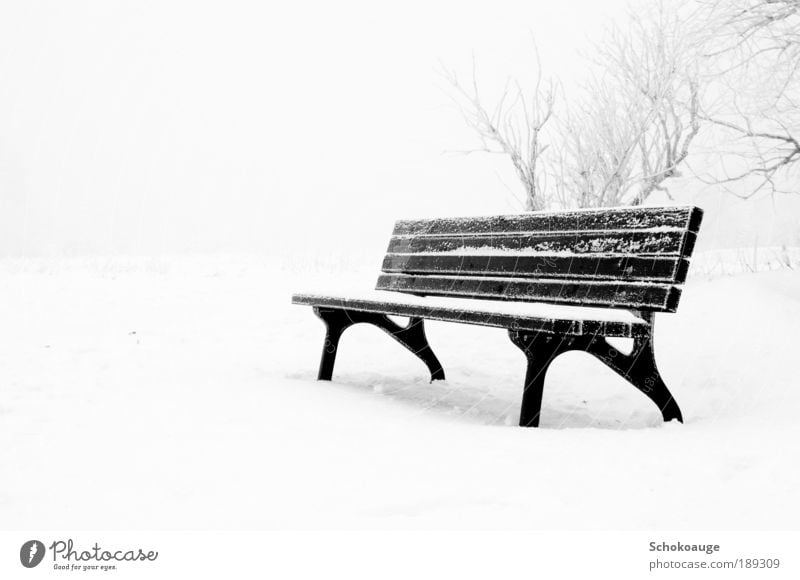 Eisbank Umwelt Natur Winter Wetter Frost Schnee Hügel Felsen Berge u. Gebirge Gipfel Schneebedeckte Gipfel frieren wandern authentisch gigantisch weiß Gefühle