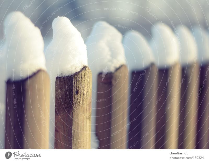 7 Zwerge Winter Schnee Winterurlaub Eis Frost Garten stehen kalt lustig weiß Zaun Holz Holzzaun Holzbrett Mütze Spitze Reihe gerade parallel Märchen Unschärfe