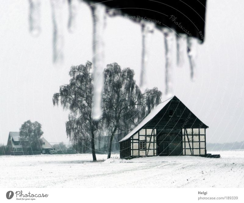 Winter auf dem Land Umwelt Natur Landschaft Pflanze Himmel Wetter Eis Frost Schnee Baum Feld Dorf Haus Bauwerk Gebäude Architektur Fachwerkhaus Bauernhof