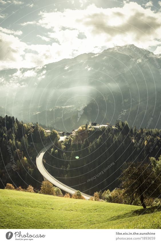 Starke Kurven. Ferien & Urlaub & Reisen Ausflug Ferne Freiheit Berge u. Gebirge wandern Umwelt Natur Landschaft Himmel Wolken Sonne Herbst Schönes Wetter Baum