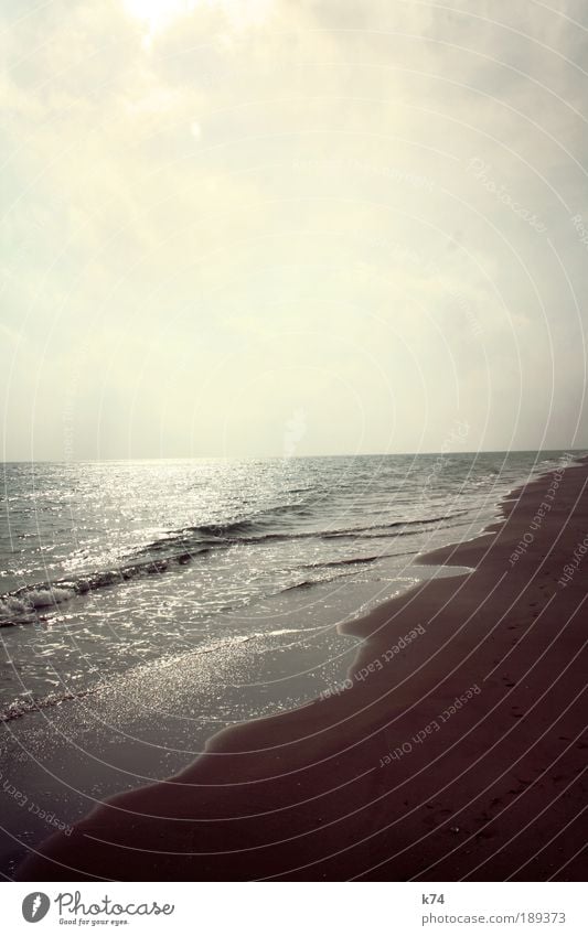 shoreline Umwelt Natur Landschaft Erde Luft Wasser Himmel Horizont Küste Strand Nordsee Ostsee Meer frei glänzend groß Farbfoto Gedeckte Farben Außenaufnahme