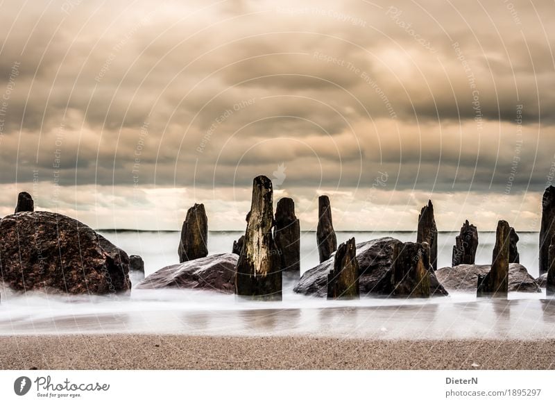 Im letzten Licht Umwelt Natur Landschaft Sand Wasser Himmel Wolken Sonnenaufgang Sonnenuntergang Wetter Wind Wellen Küste Strand Ostsee Meer alt braun orange