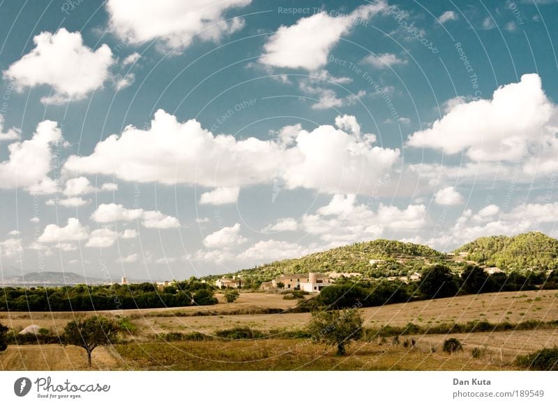 Toskana? (Made in Spain) Sommer Sommerurlaub Sonne Insel Natur Landschaft Himmel Wolken Schönes Wetter Wärme Wiese Feld Hügel natürlich schön trocken