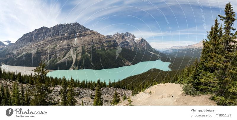 Peyto Lake Umwelt Natur Landschaft Pflanze Sand Wolken Sommer Schönes Wetter Baum Fichte Nadelbaum Berge u. Gebirge See Fluss entdecken wandern blau türkis